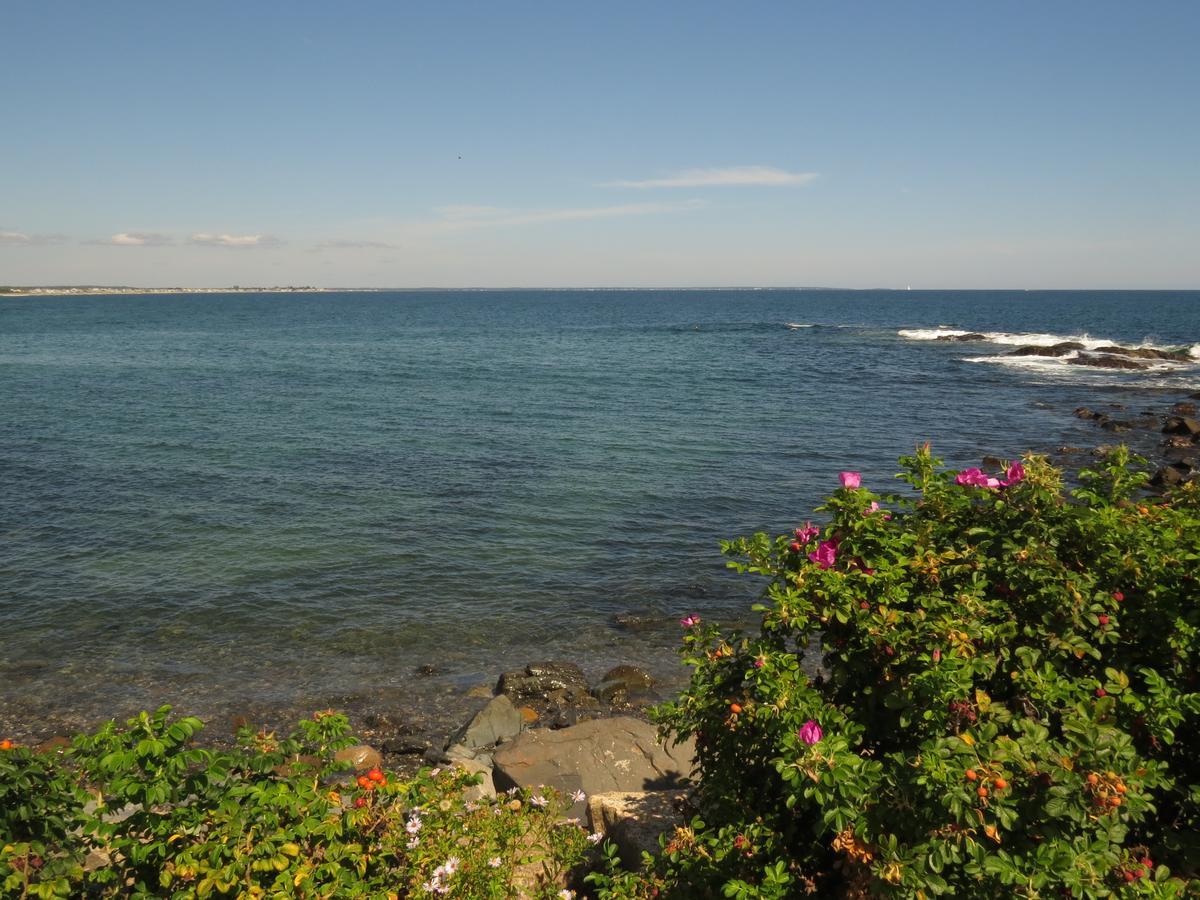 Blue Shutters Inn Carriage House Studios Ogunquit Exterior foto